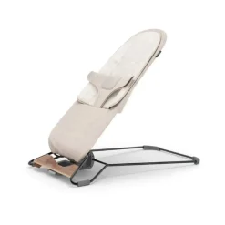 Mira 2-in-1 Bouncer and Seat VARIOUS COLOURS