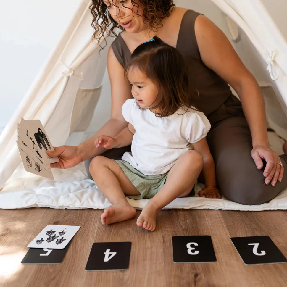 Nature Numbers Cards
