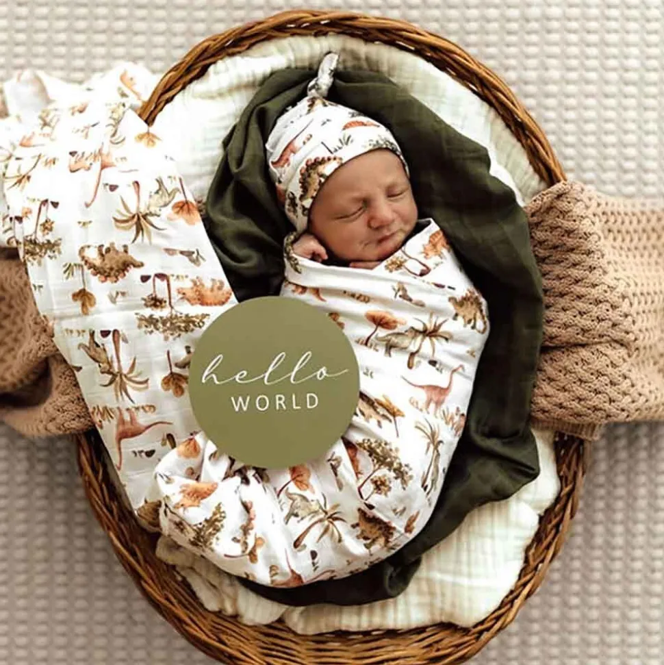 Organic Muslin Wrap - Dino