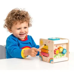 Petilou Petit Activity Cube