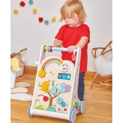 Petitlou Activity Walker