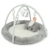 Playmat & Gym - Welcome to the World