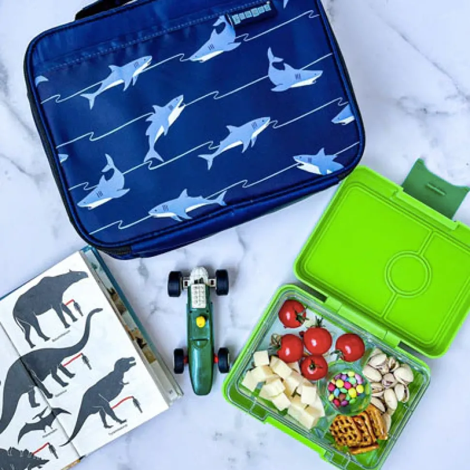 Presto Snack Bento Box VARIOUS COLOURS