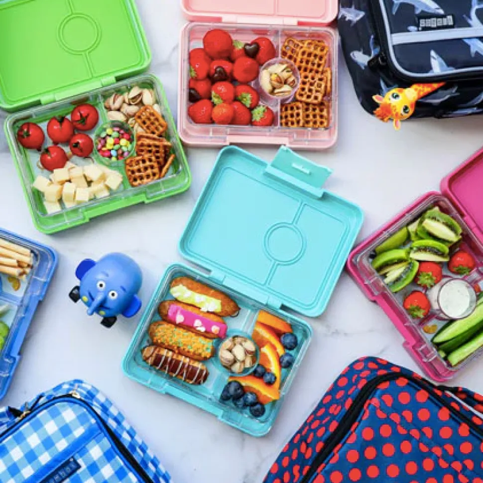 Presto Snack Bento Box VARIOUS COLOURS