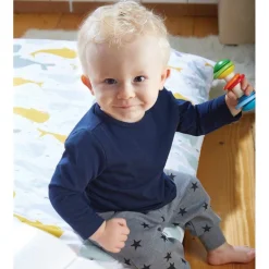 Rainmaker Rattle