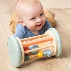 Rolling Activity Mirror Birdee
