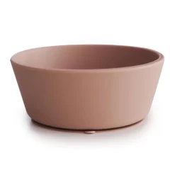 Silicone Bowl VARIOUS COLOURS