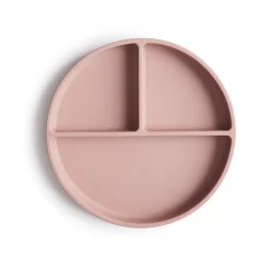 Silicone Plate VARIOUS COLOURS