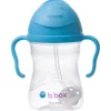 Sippy Cup - Bluberry