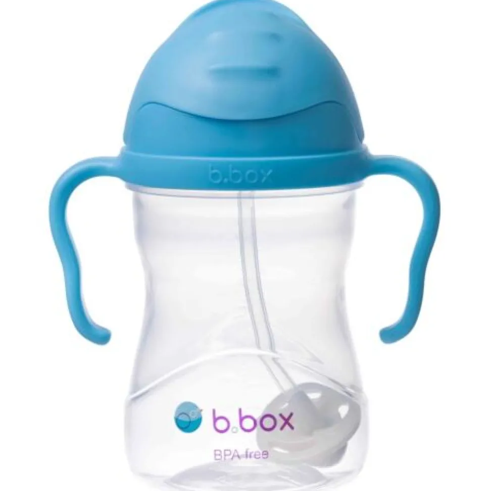Sippy Cup - Bluberry