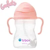Sippy Cup - Tutti Frutti