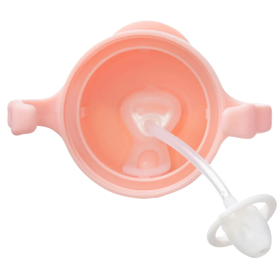 Sippy Cup - Tutti Frutti