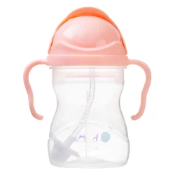 Sippy Cup - Tutti Frutti