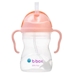 Sippy Cup - Tutti Frutti