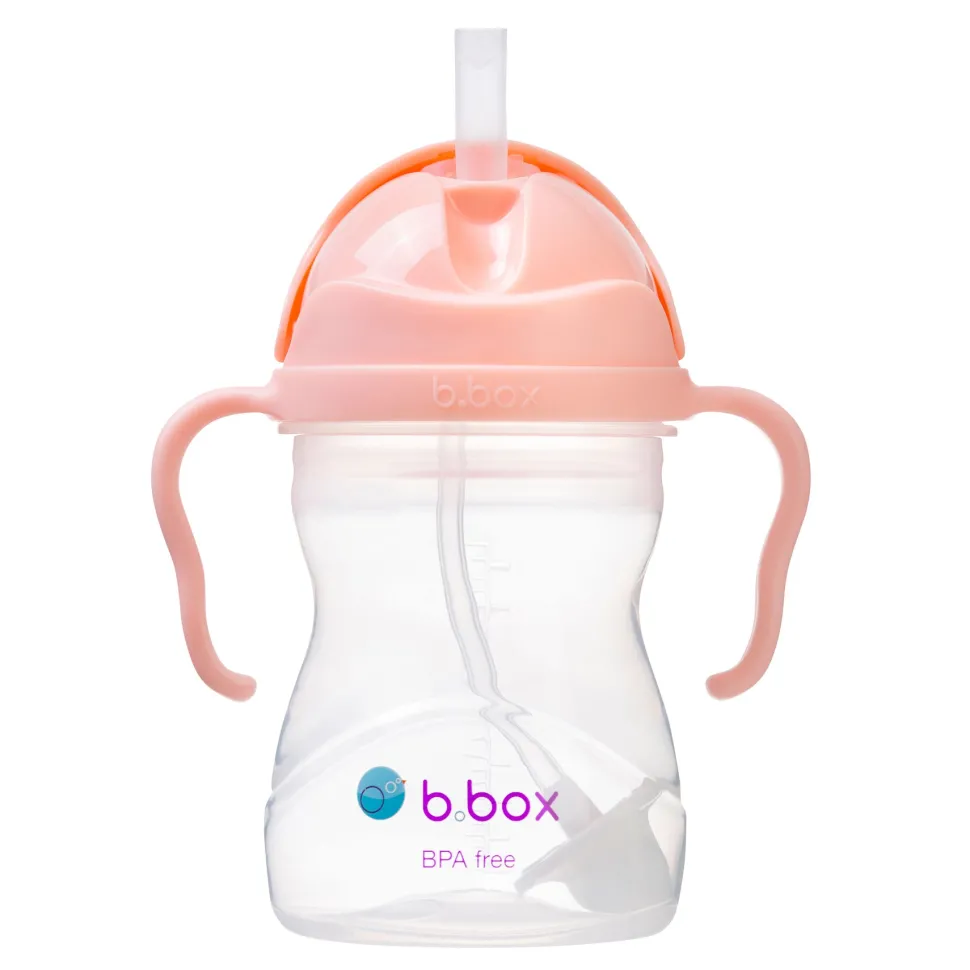 Sippy Cup - Tutti Frutti