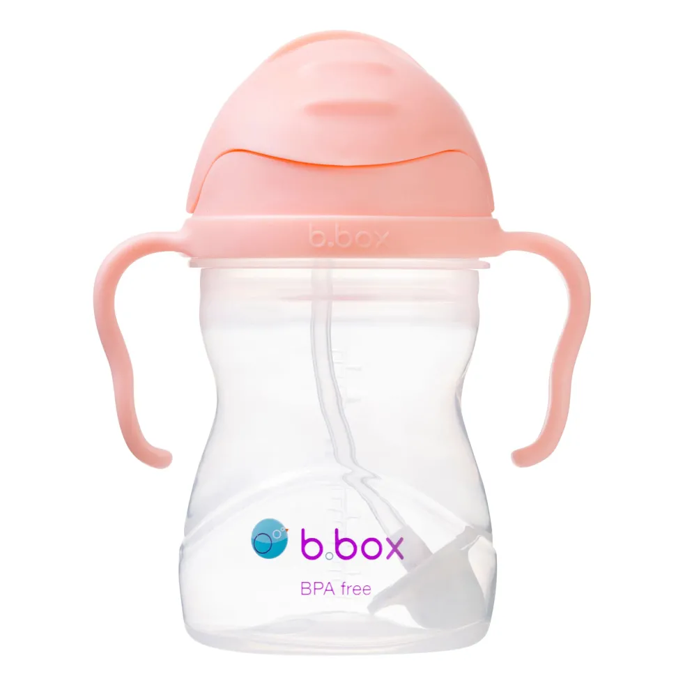 Sippy Cup - Tutti Frutti