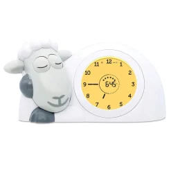 Sleep Trainer Sam