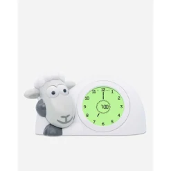 Sleep Trainer Sam