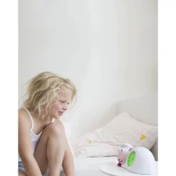 Sleep Trainer Sam
