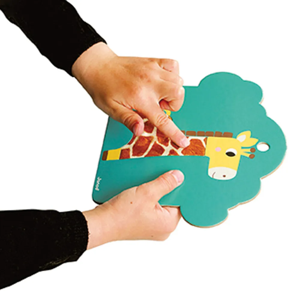 Tactile Cards Savannah