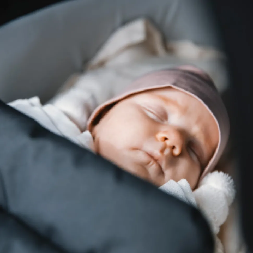 Thule Shine Bassinet