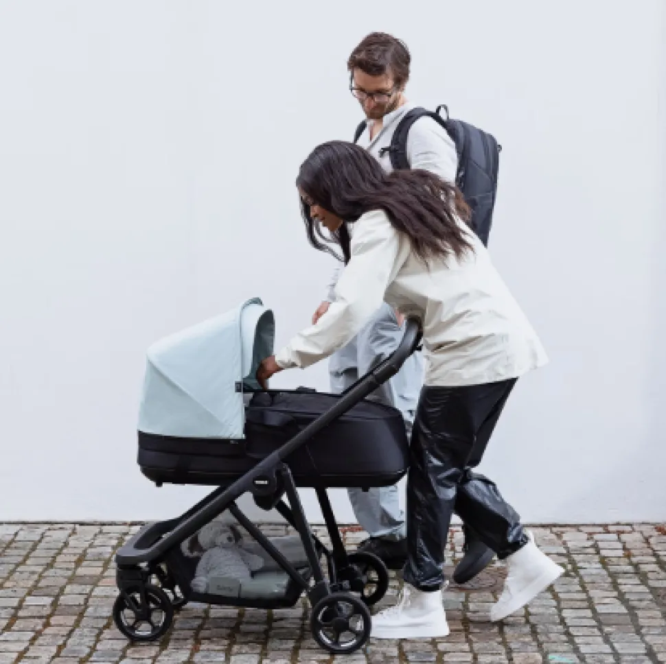 Thule Shine Bassinet
