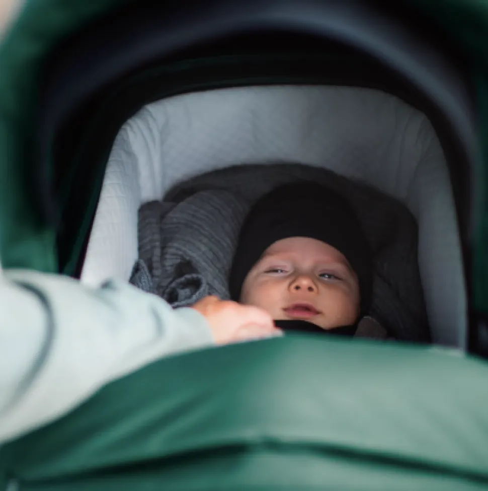Thule Sleek Pram Bassinet VARIOUS COLOURS