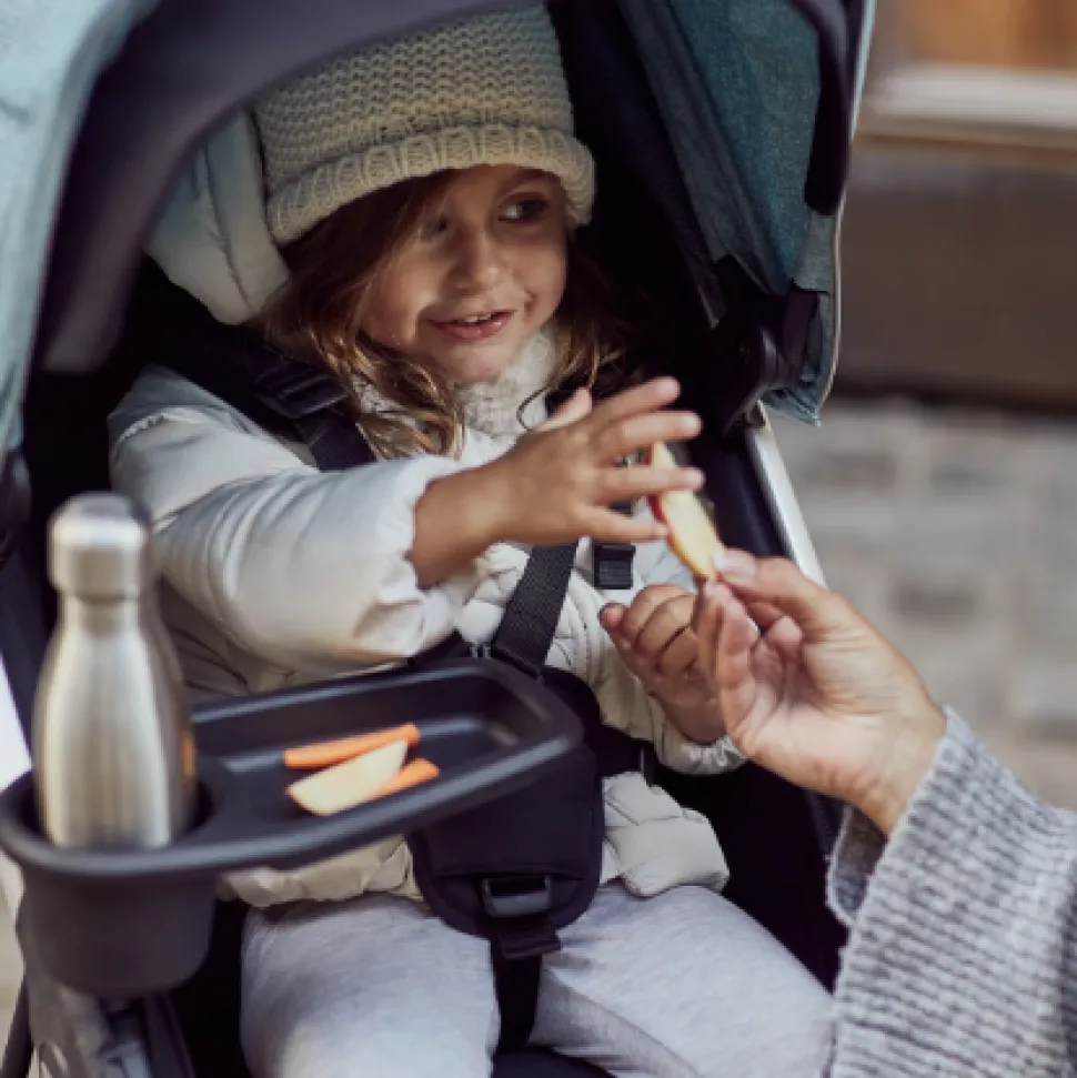 Thule Spring Snack Tray