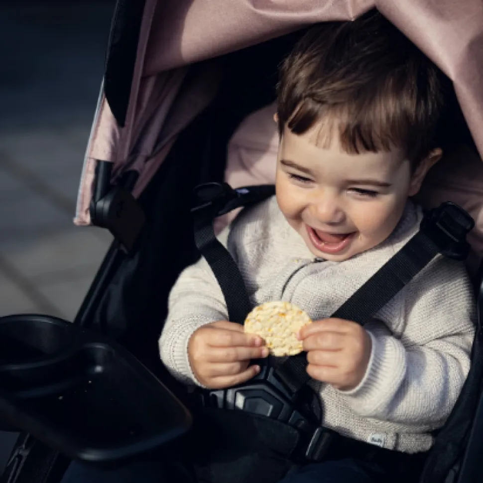 Thule Spring Snack Tray