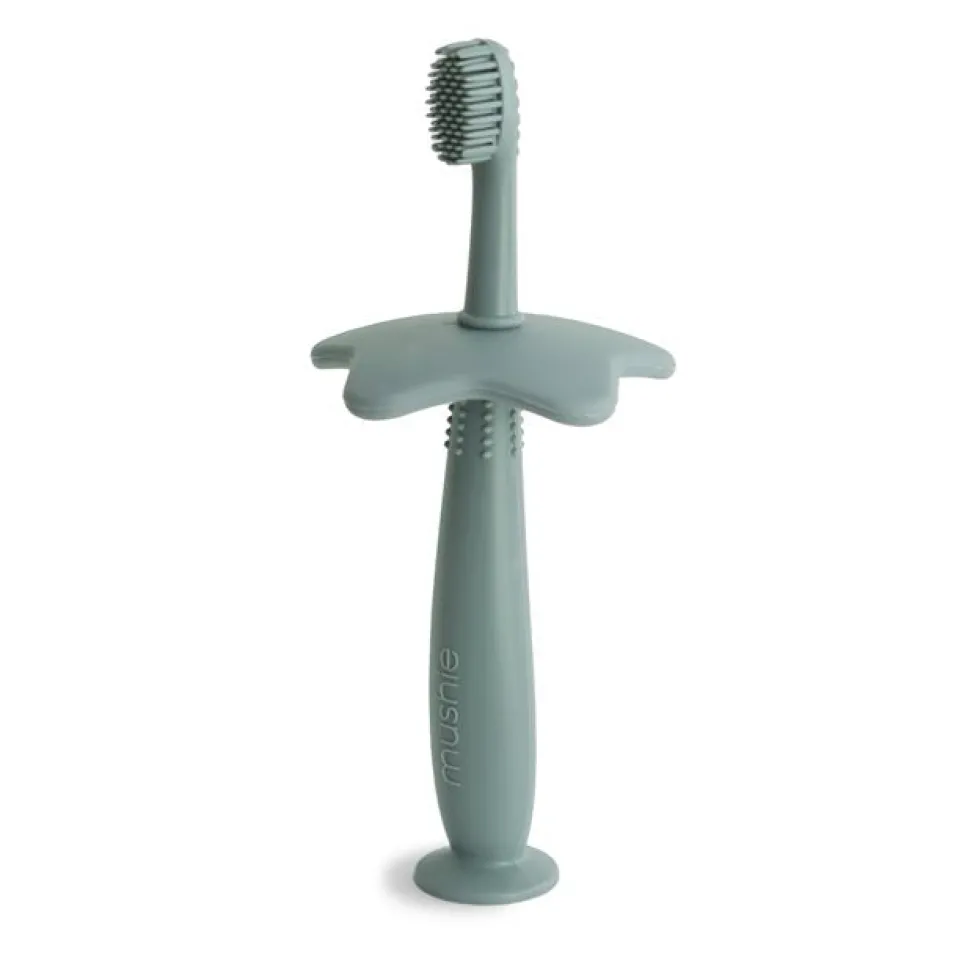 Training Toothbrush VARIOUS COLOURS