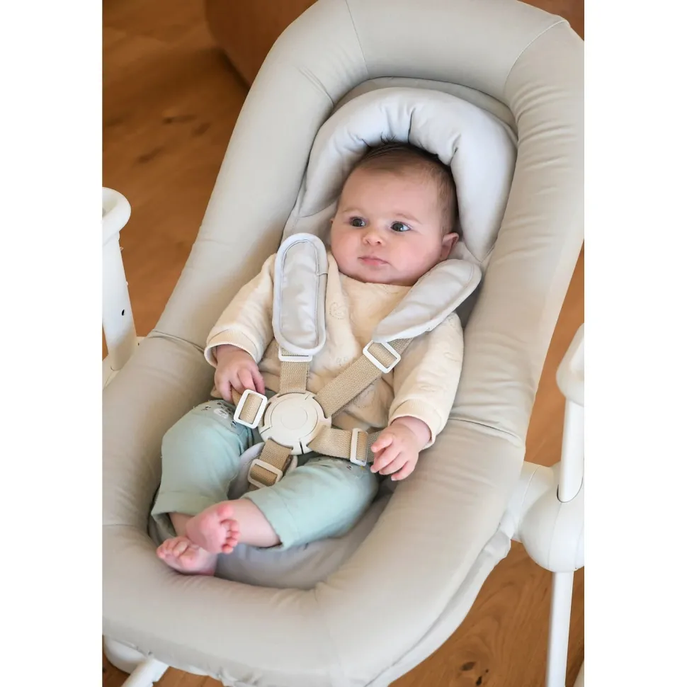 Up & Down Bouncer Plus VARIOUS COLOURS