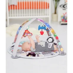 Vibrant Village Smart Lights Activity Gym