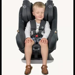 Vita Pro Convertible Car Seat