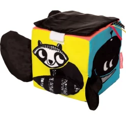 Wimmer Ferguson Learning Cube