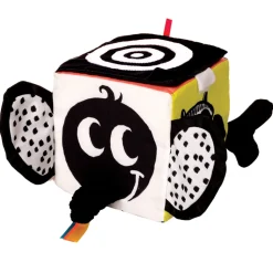 Wimmer Ferguson Learning Cube