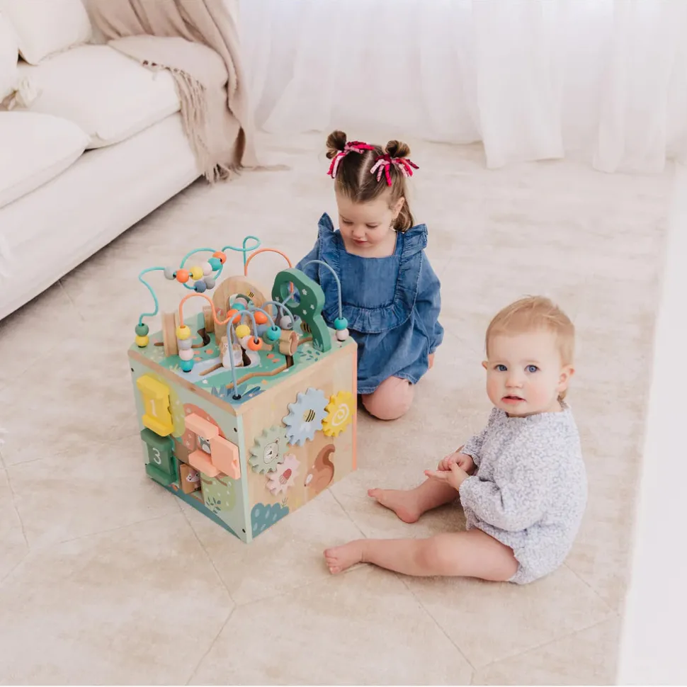 Wooden Activity Centre