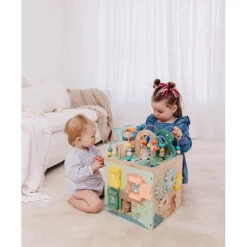 Wooden Activity Centre