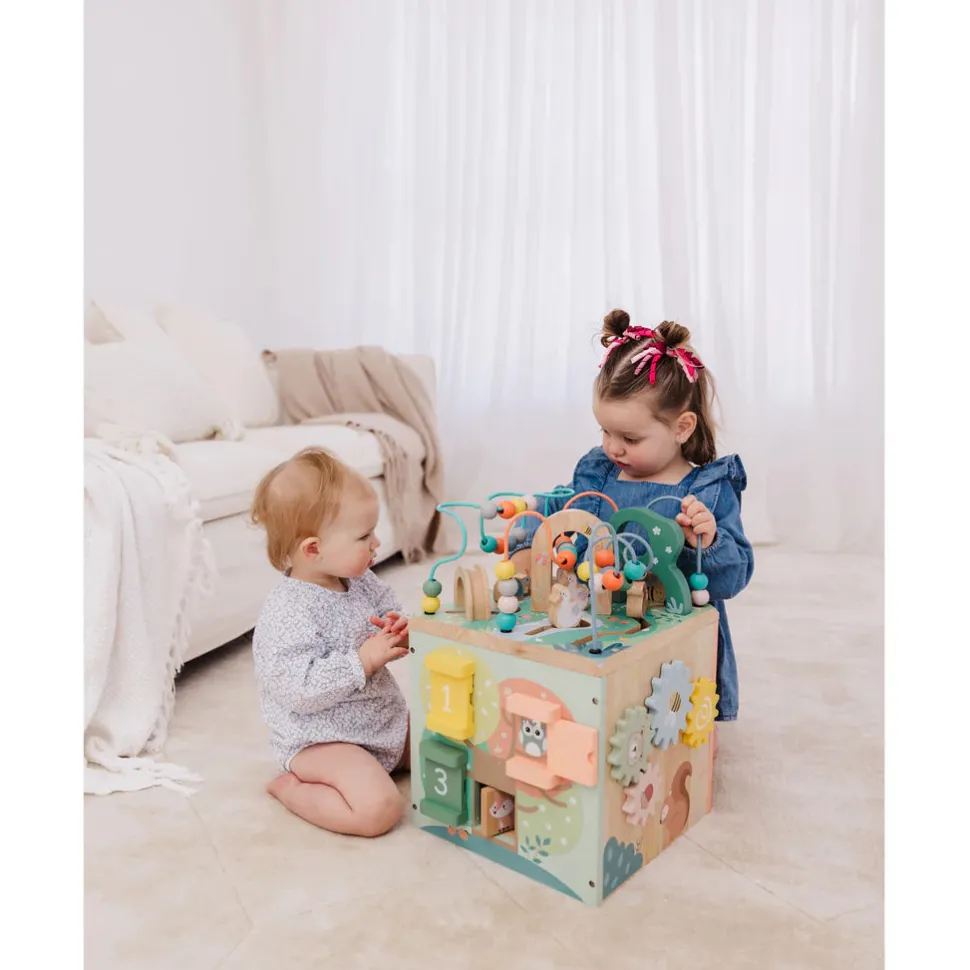 Wooden Activity Centre