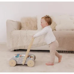 Wooden Baby Push Cart & Walker with Blocks