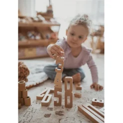 Wooden Educational Numbers