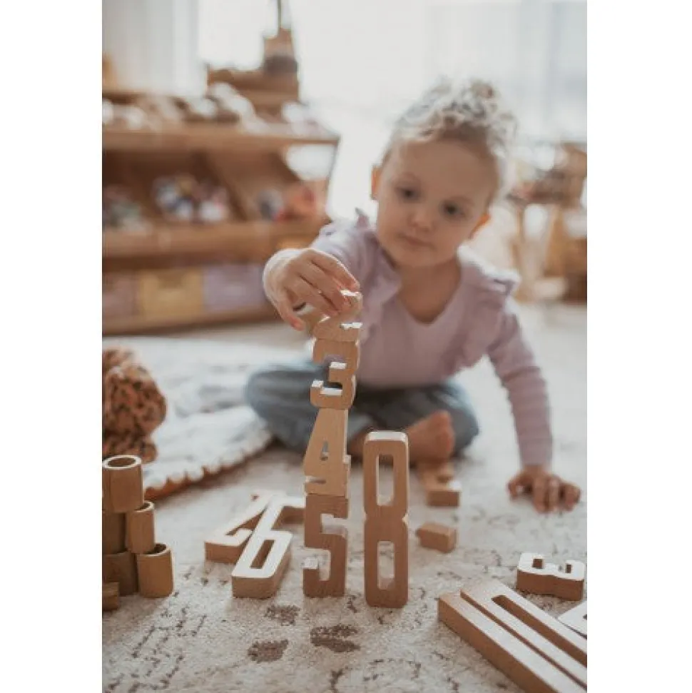 Wooden Educational Numbers