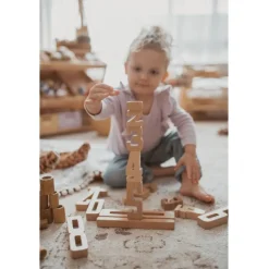 Wooden Educational Numbers