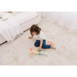 Wooden Numbers & Blocks Counting Set