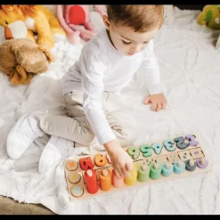 Wooden Numbers & Blocks Counting Set