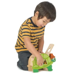 Wooden Tortoise Shape Sorter with Shapes