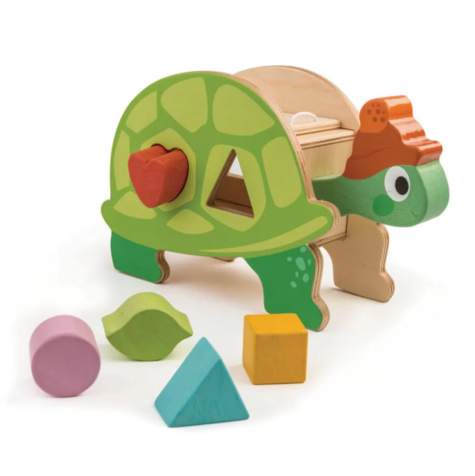 Wooden Tortoise Shape Sorter with Shapes