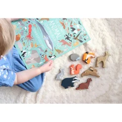 Woodland Animals Display Shelf Set