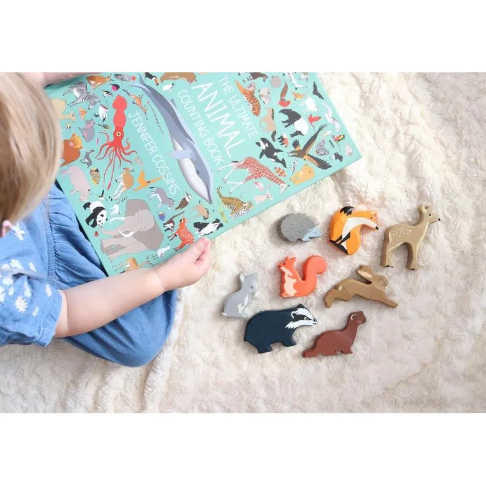Woodland Animals Display Shelf Set