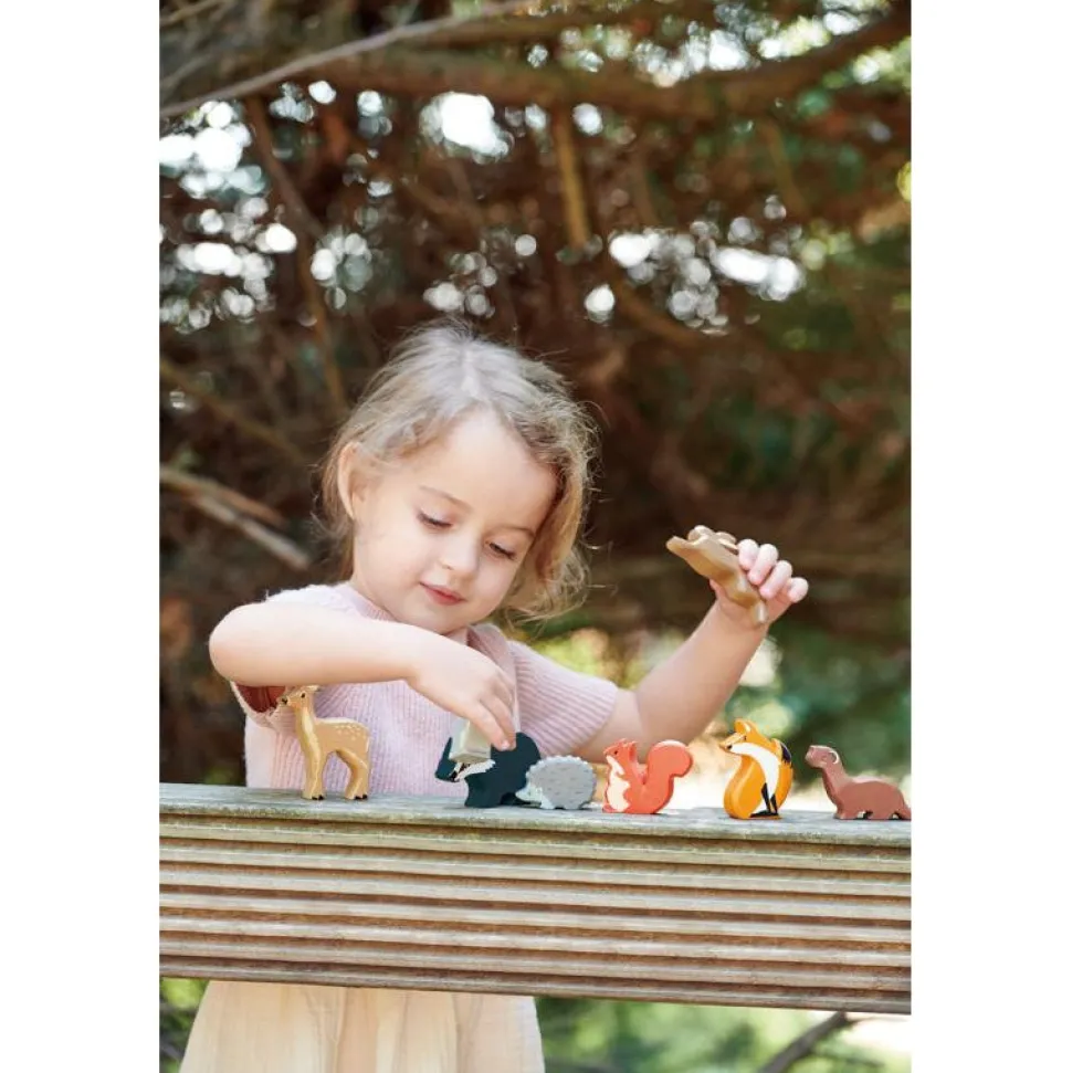 Woodland Animals Display Shelf Set