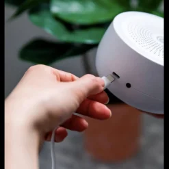 Yogasleep Dreamcenter with Night Light